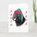 Search for newfoundland dog cards Animals