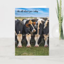 Search for cow cards Herd
