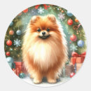 Search for pomeranian art stickers Cute