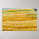 Search for kernel posters Yellow