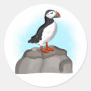 Search for puffins stickers Birds