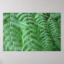 Search for nature pattern photography Botanical
