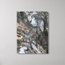 Search for tree roots canvas prints Nature