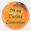 Search for clementine stickers Orange