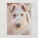Search for airedale vertical postcards Puppy