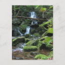 Search for lush postcards Landscape