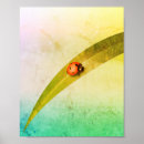 Search for bug kids posters Nature