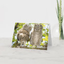 Search for screech cards Owls