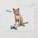 Search for funny whimsical postcards Cat
