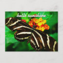Search for black and white quote postcards Photography