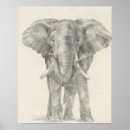 Search for drawing kids posters Safari