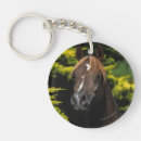 Search for stallionness key rings Equestrian