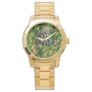 Search for insects watches Wings