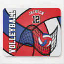 Search for volleyball electronics School