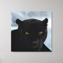 Search for panthera canvas prints Wildlife