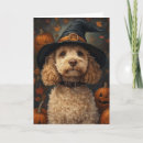 Search for yellow halloween cards Witch