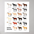 Search for colour chart posters Illustration