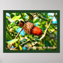 Search for oak posters Quercus