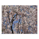 Search for 11x14 posters Floral