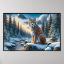 Search for lynx posters Forest