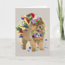 Search for chow chow christmas cards Funny