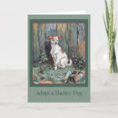 Search for shelters cards Dogs