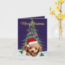 Search for toy poodle christmas cards Santa