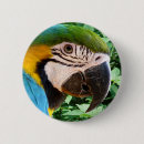 Search for parrot bird badges Exotic