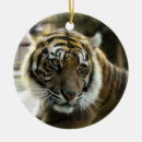 Search for bengal cat christmas tree decorations Feline