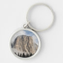 Search for trees in fog key rings Nature