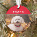 Search for bichon frise gifts Pets
