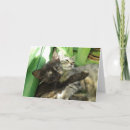 Search for cuddle invitations Cute