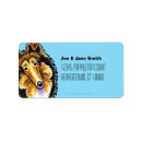 Search for sheltie labels Collie