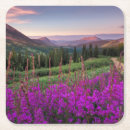 Search for home on range coasters Meadow