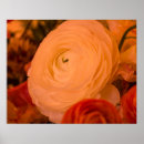 Search for surround posters Flowers