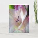Search for gladiolus flowers cards Floral