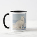 Search for arctic animal mugs Climate change