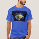 Search for betta clothing Walking fish