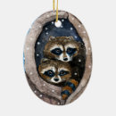 Search for cute racoon christmas tree decorations Wildlife