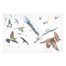 Search for flight officer posters Birds