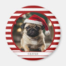 Search for candy canes magnets Red