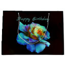 Search for turquoise gift bags Anniversary