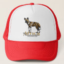 Search for wild dog hats Canine