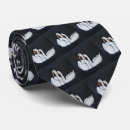 Search for swan ties Nature