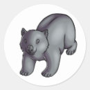 Search for wombat stickers Cute