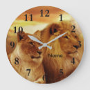 Search for african lion posters Sunset