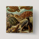 Search for 19th century badges Antique