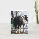 Search for equine seasonal cards Pinto