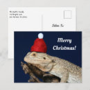 Search for desert animals postcards Lizard