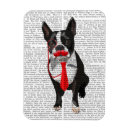 Search for moustached magnets Dog